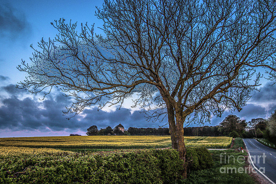 just-down-the-road-photograph-by-mandi-hibberd-fine-art-america