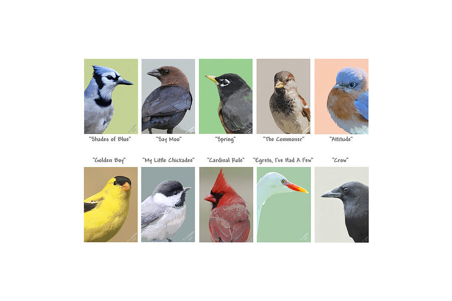 Birds En Masse 1 Mixed Media by Judy Cuddehe