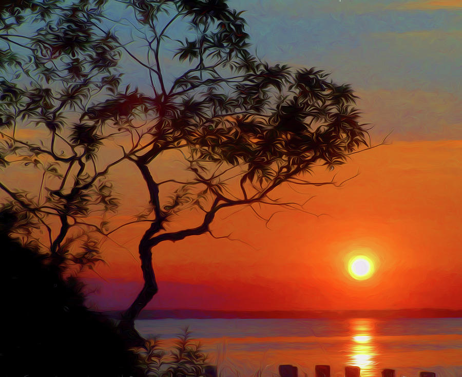 Just In Time For The Sunset Digital Art By Edward Landen Fine Art America