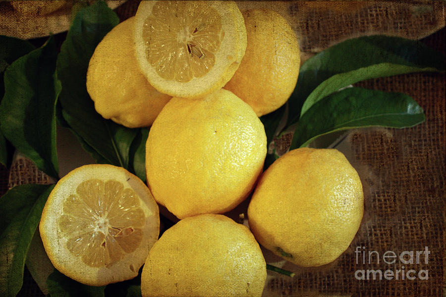 Just Lemons Photograph by Elaine Teague