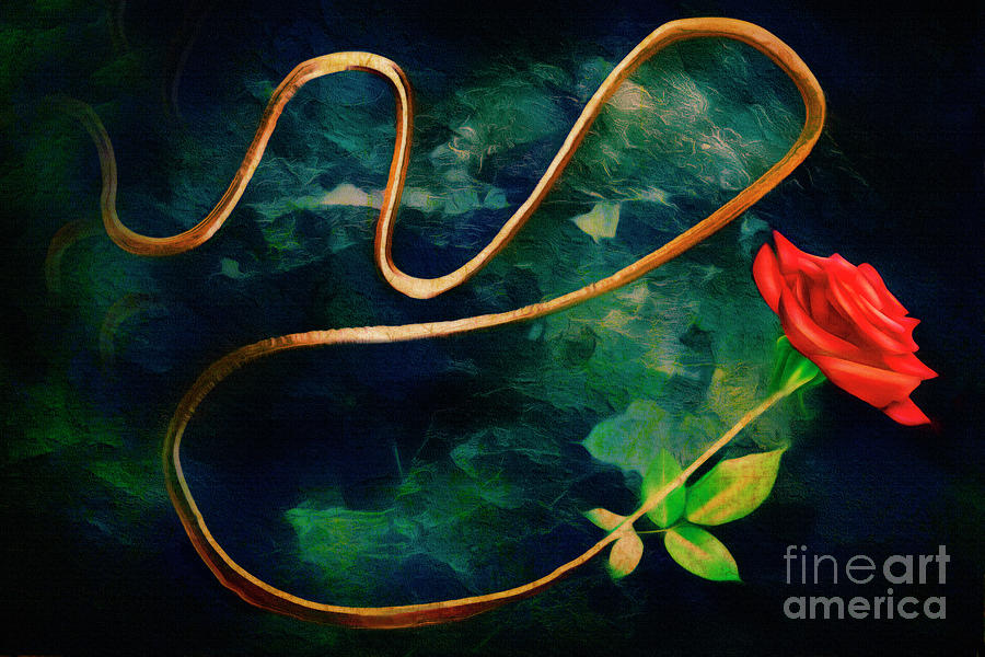 Just One Red Rose Digital Art by Edmund Nagele FRPS