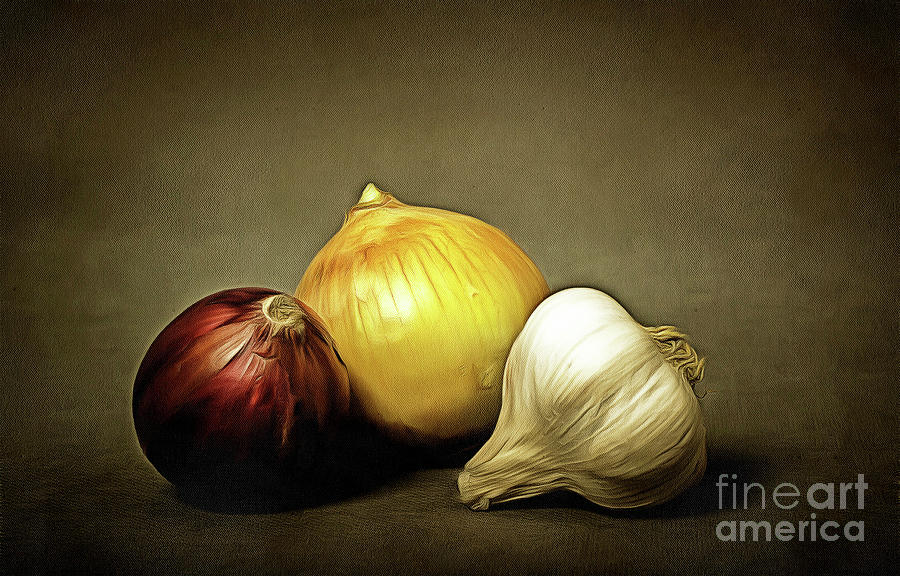 Just Onions Photograph by Bridget Mejer