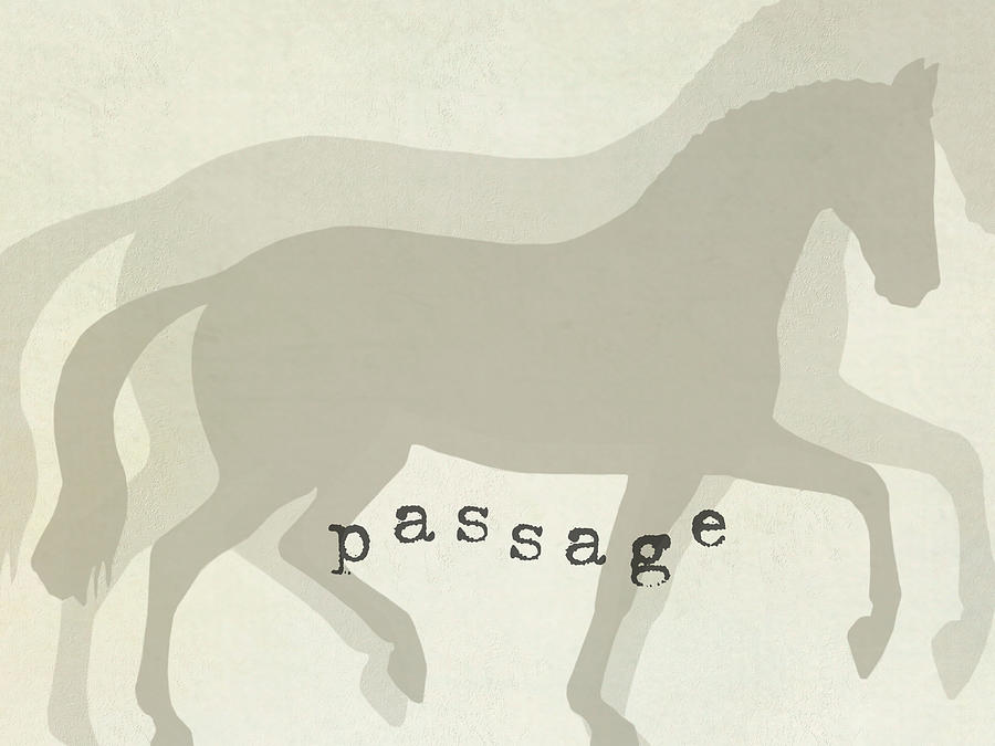 Just Passage Photograph by Dressage Design
