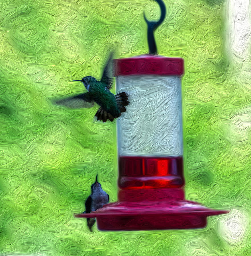 Just Passing Through - Hummingbirds Photograph by Mary Poliquin - Policain Creations