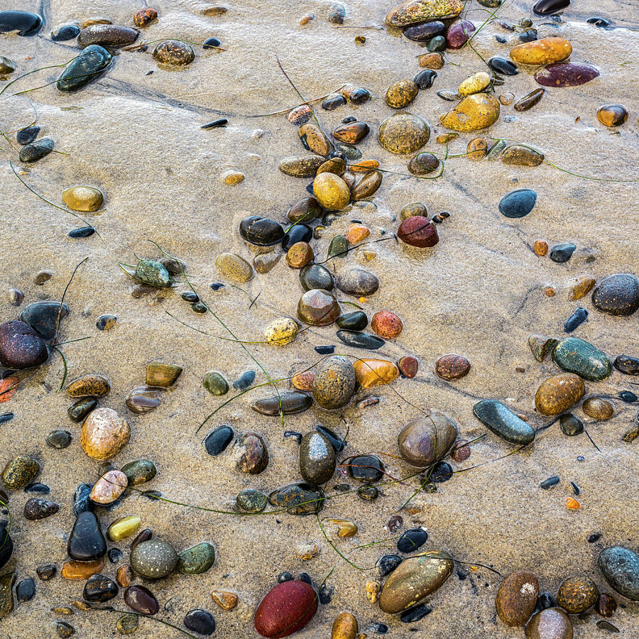 Just Stones Swamis Beach Photograph by Joseph S Giacalone