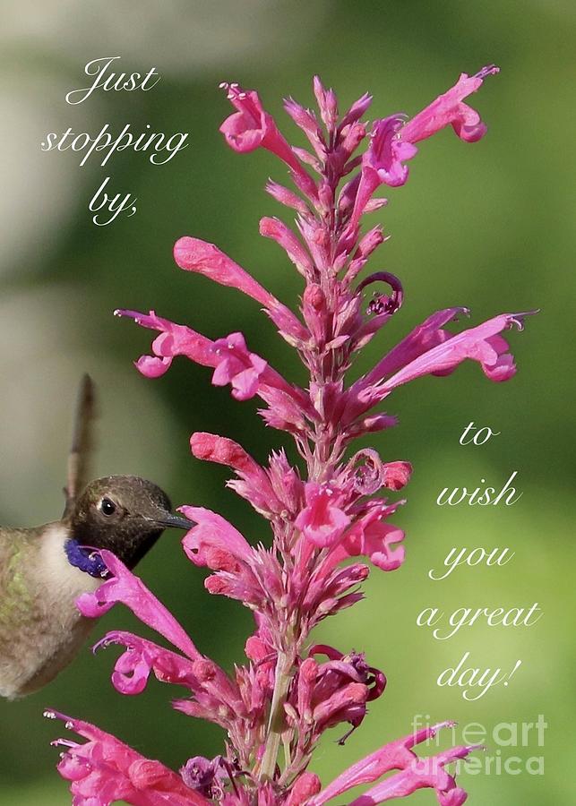 Just Stopping By Hummingbird Greeting Card Photograph by Carol Groenen