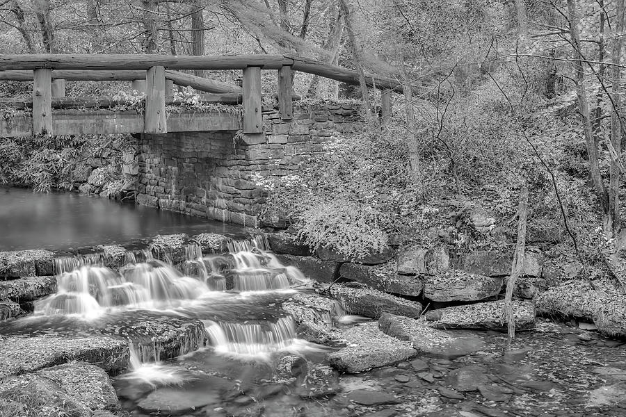 Just Water Under The Bridge BW Photograph by Susan Candelario