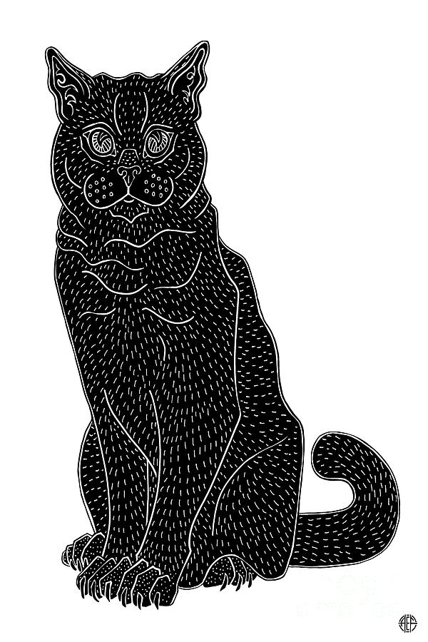 Justin. Black Cat Ink  Drawing by Amy E Fraser