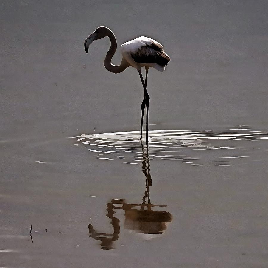 Juvenile Flamingo In Grey With Reflection Painting by Taiche Acrylic Art