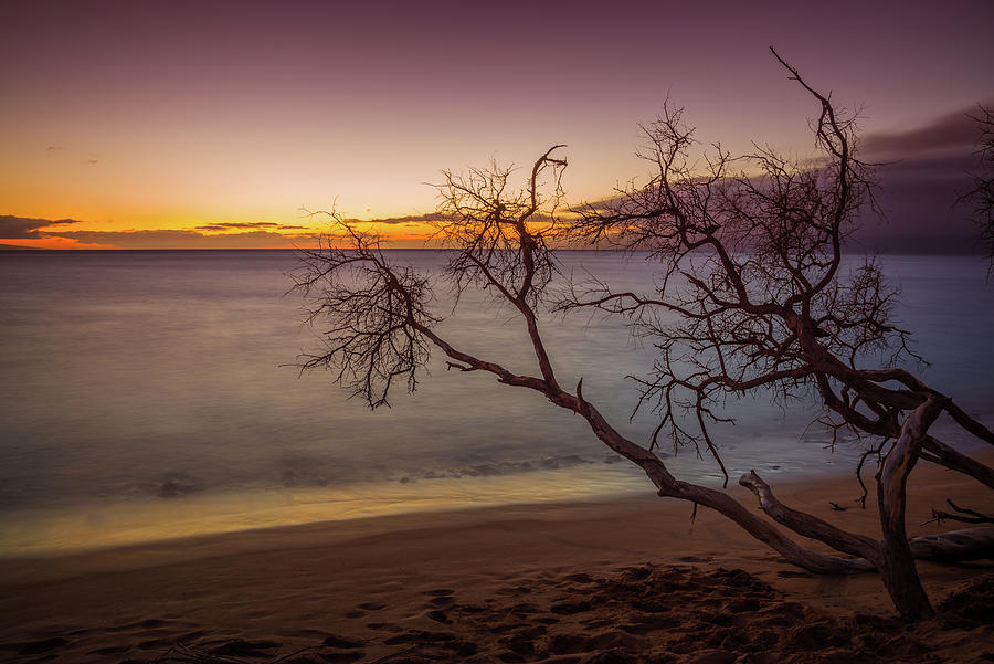 Kaanapali Beach Maui Sunset Twilight Glow Long Exposure Photograph by Scott McGuire
