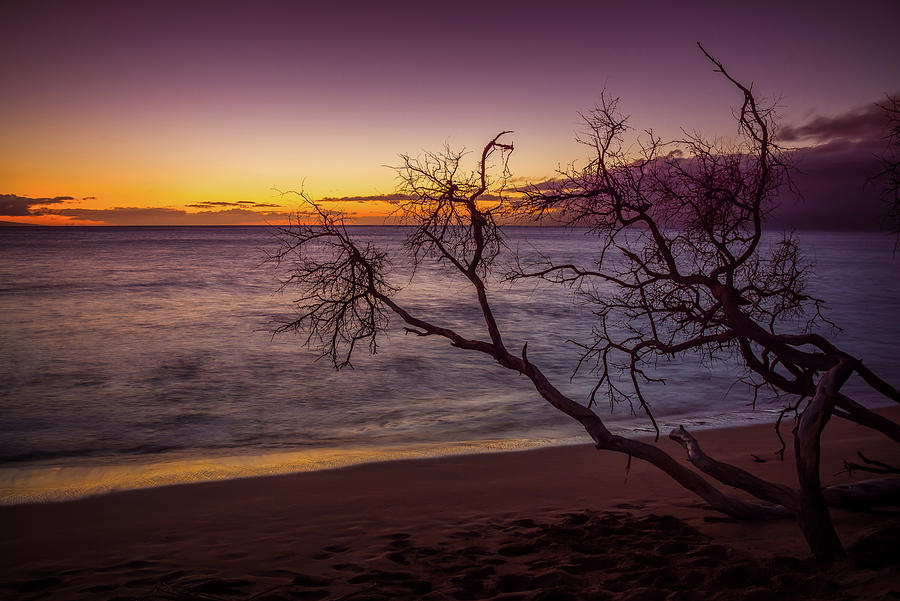 Kaanapali Beach Maui Sunset Twilight Glow Photograph by Scott McGuire