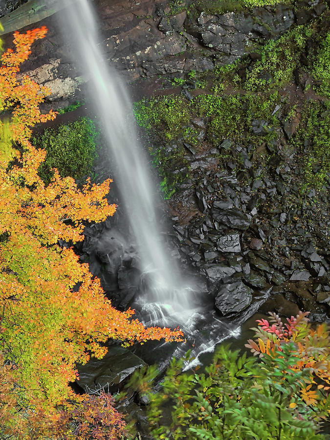 Kaaterskill Falls Photograph by Bearj B Photo Art