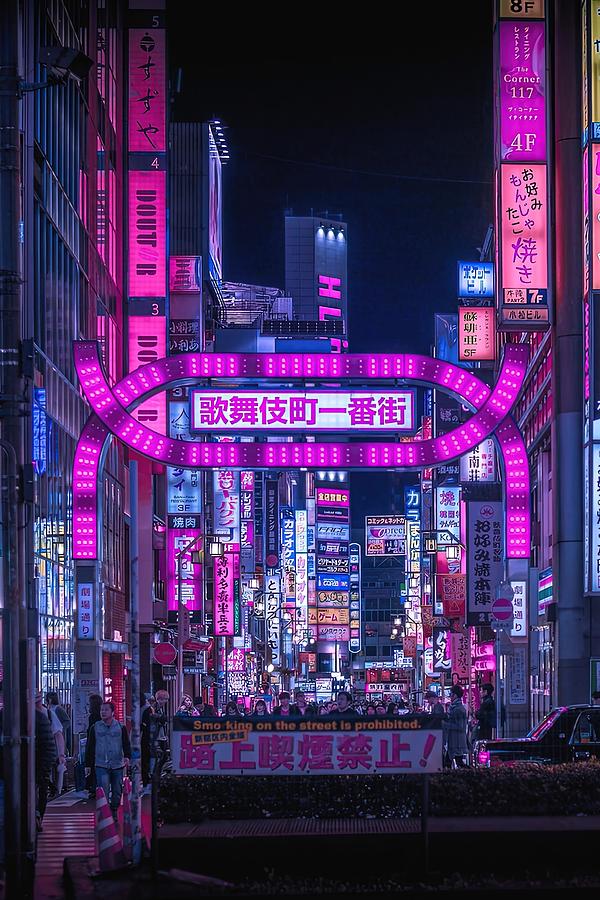 Kabukicho Gate Vertical Painting by Maisie Phillips - Fine Art America