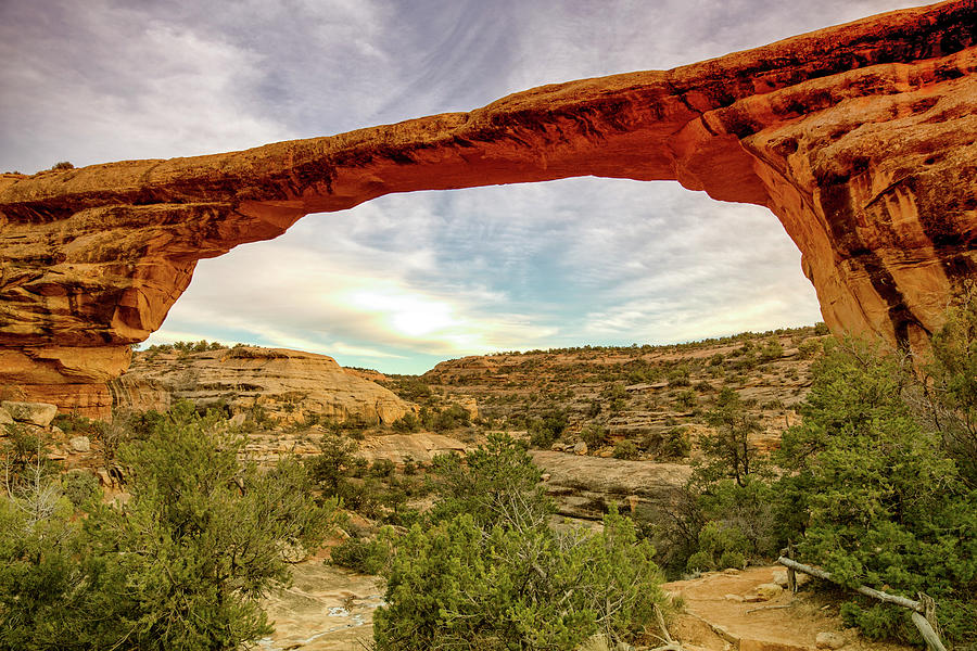 Kachina Bridge Photograph by Jeffrey Driver | Fine Art America