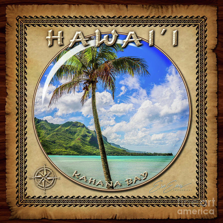Kahana Bay Palm Tree Sphere Image with Hawaiian Style Border Photograph by Aloha Art