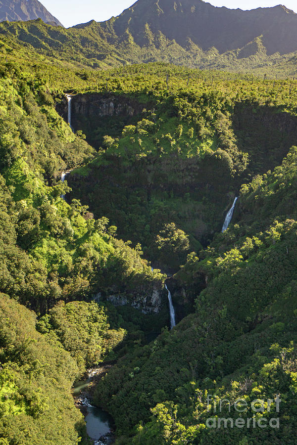 Tree Photograph - Kahili Falls in the Hanapepe Valley of Kauai, Hawaii by Nancy Gleason
