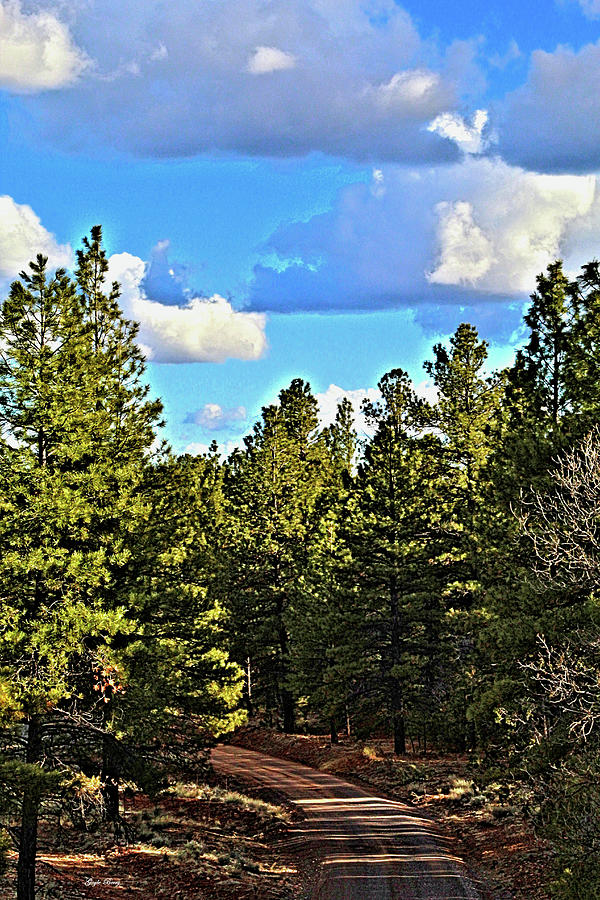 Tree Mixed Media - Kaibab National Forest by Gayle Berry