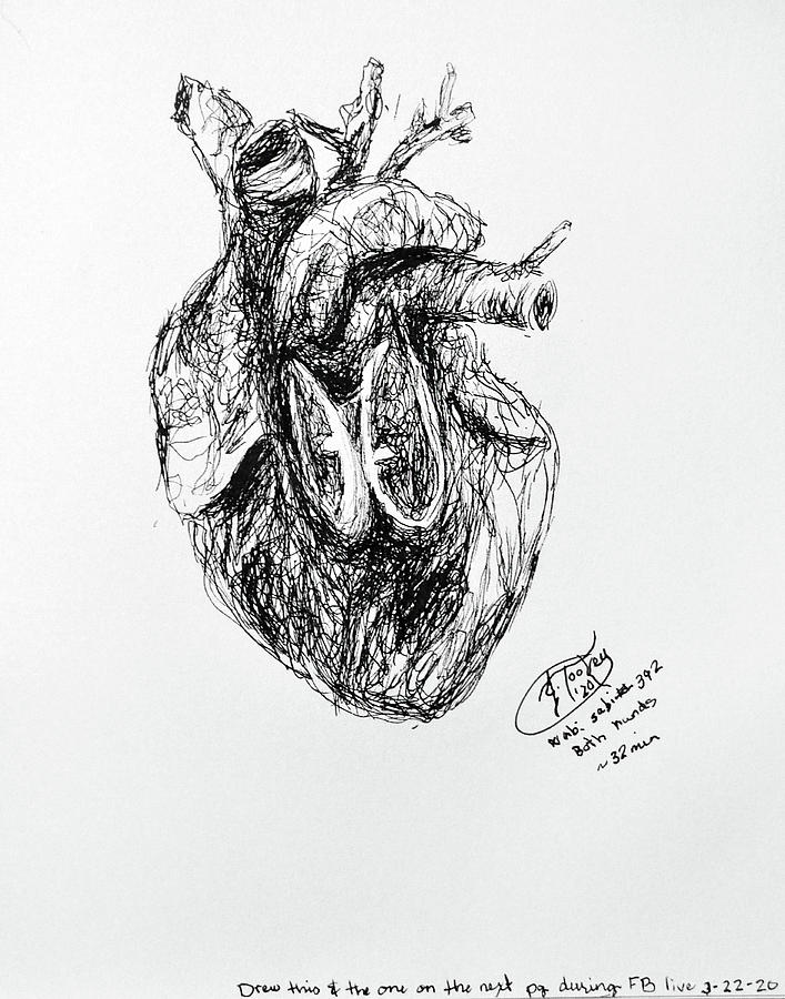 Kaits Heart Drawing by Jessica Tookey
