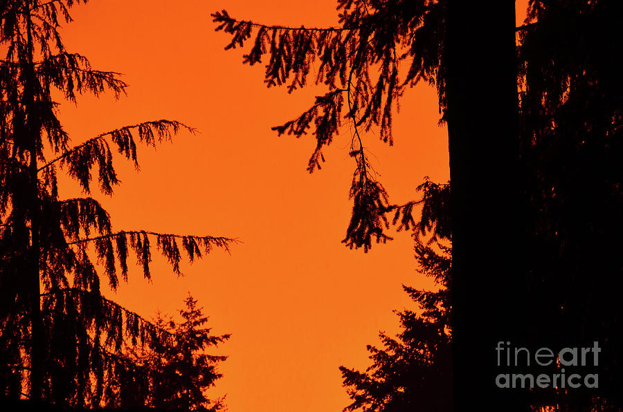Kala Sunset Photograph by Lauren Leigh Hunter Fine Art Photography