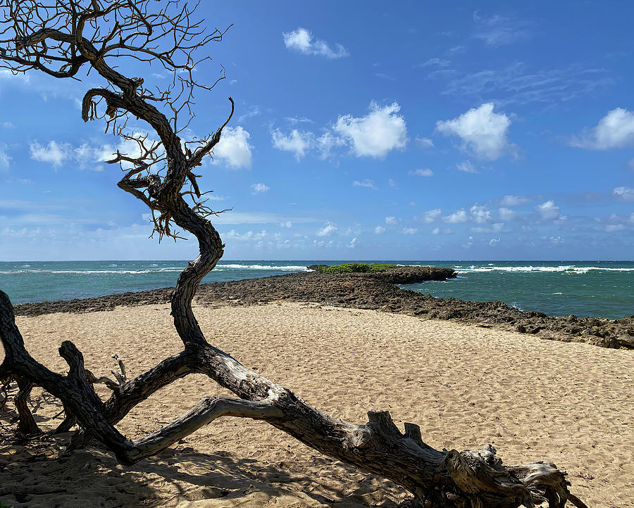 Kalaeokaunaoa aka Kahuku Point Photograph by Deborah League - Fine Art ...