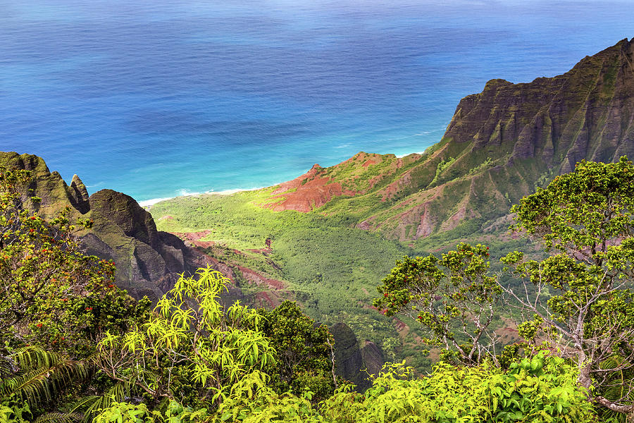 Kalalau Lookout on the Island of Kauai Photograph by Pierre Leclerc Photography