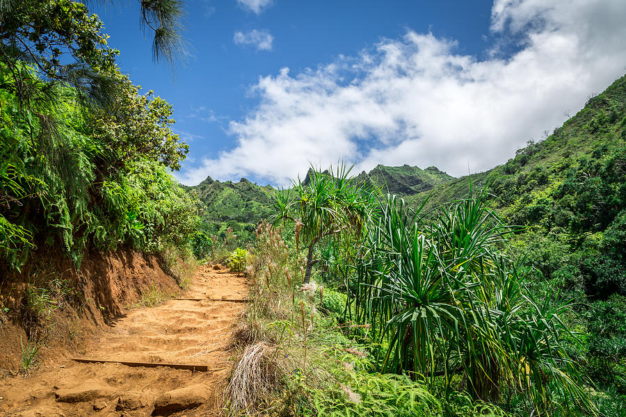 Kalalau Trail Landscape, Napali Coast State Park, Kauai, Hawaii Photograph by Onfokus