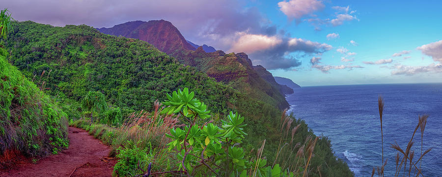Kalalau Trail Napali Coast Kauai Hawaii Photograph by Scott McGuire