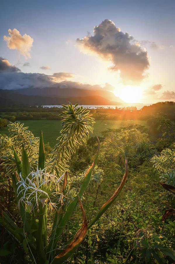 Nature Photograph - Kalalau Valley Lookout  by Steve Berkley