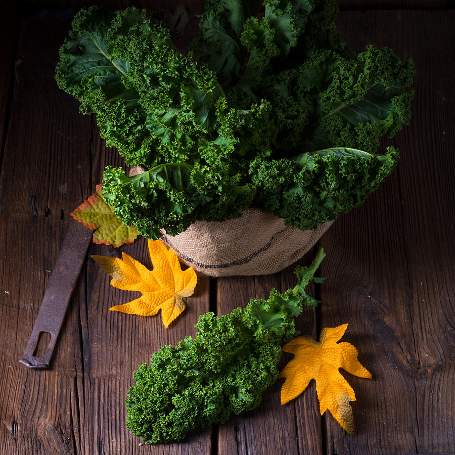 Kale Brassica oleracea Photograph by Darius Dzinnik
