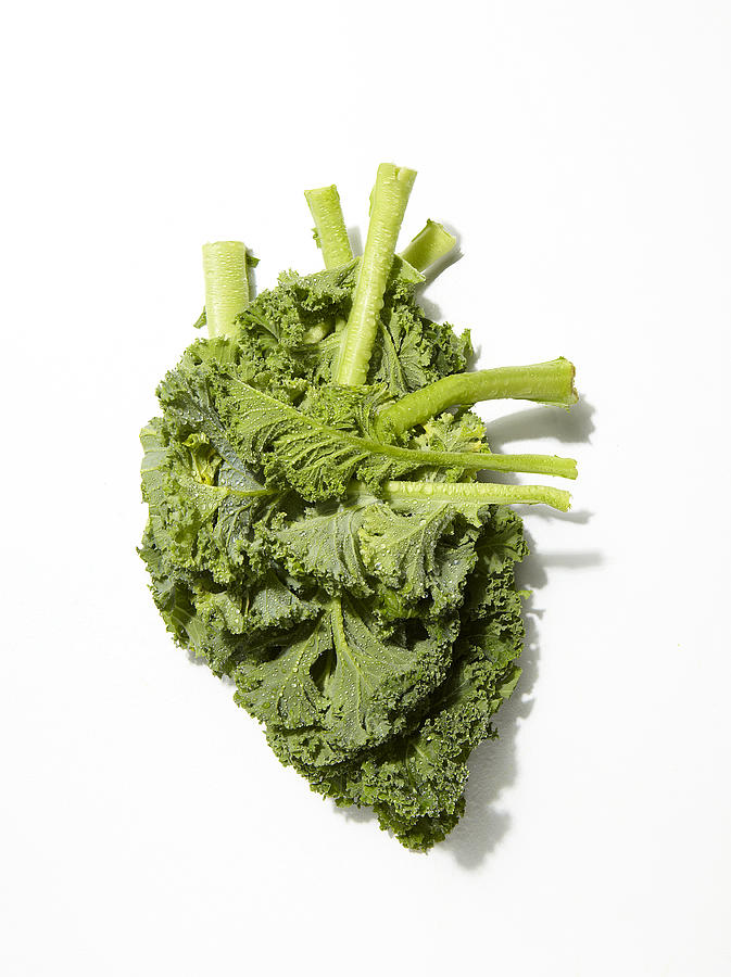 Kale in shape of a human heart Photograph by Johanna Parkin