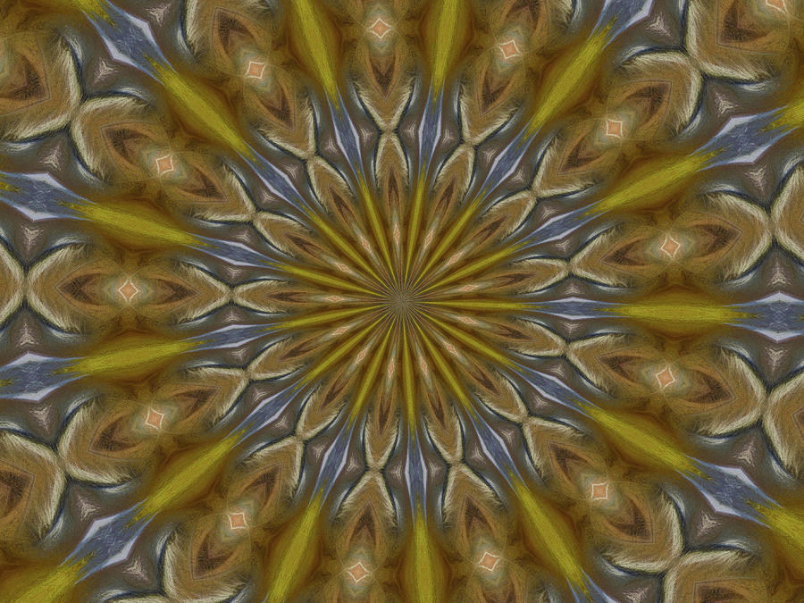 Kaleidoscope Art 2 Photograph by Scott Olsen