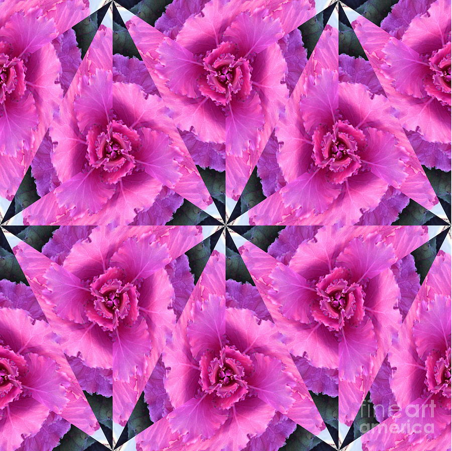 Kaleidoscope Cabbage Photograph by Sea Change Vibes