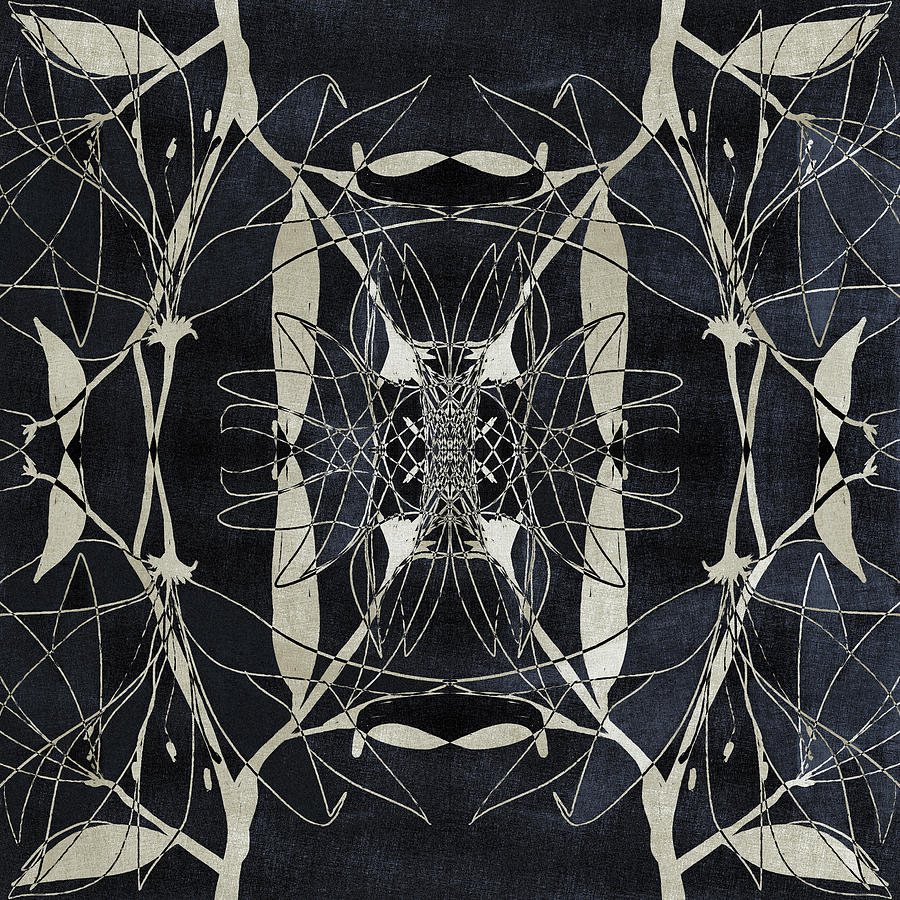 Kaleidoscopic Dark Abstract 1 Digital Art