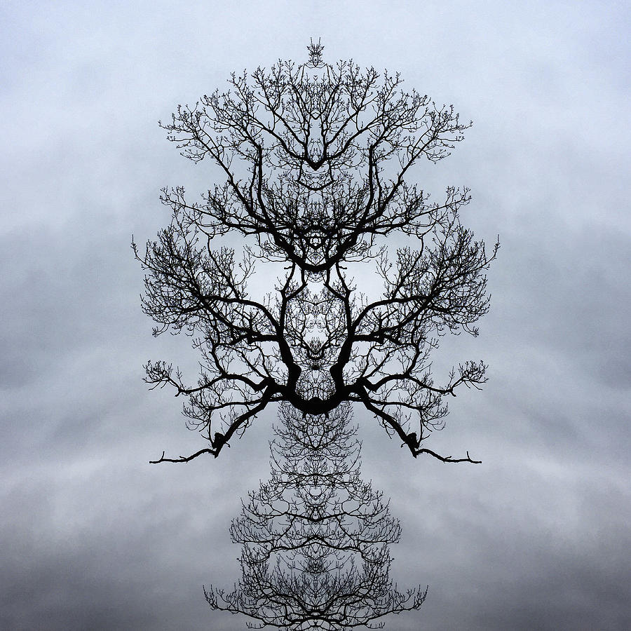 Kaleidoscopic Image of Winter Tree branches Photograph by Mike Hill