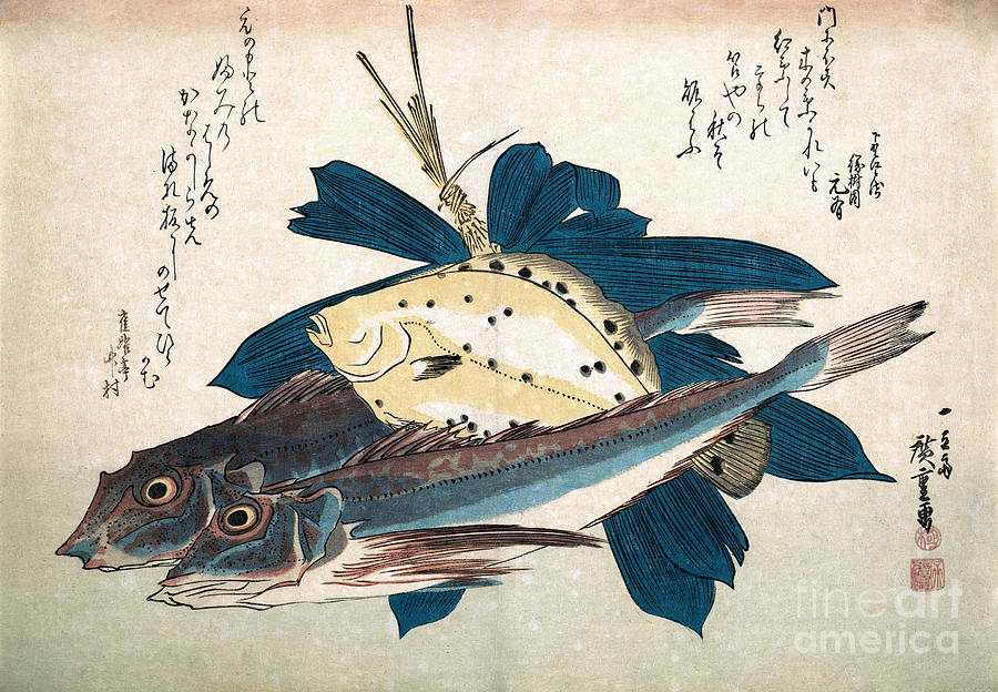 Kanagashira and Karei Fish Drawing by Utagawa Hiroshige