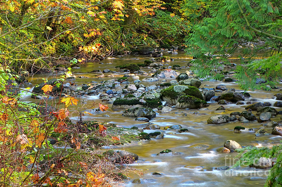 Kanaka Creek in the Fall Photograph by Sharon Talson