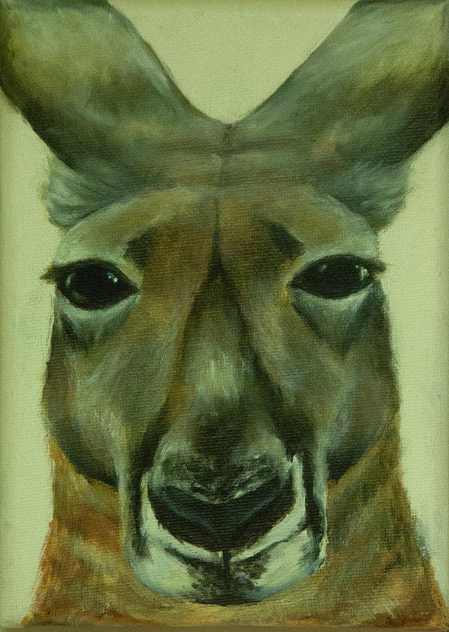 Wildlife Painting - Kangaroo by Madeline Mitchell