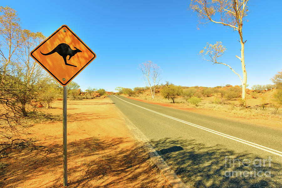Kangaroo sign in Red Centre Australia Photograph by Benny Marty