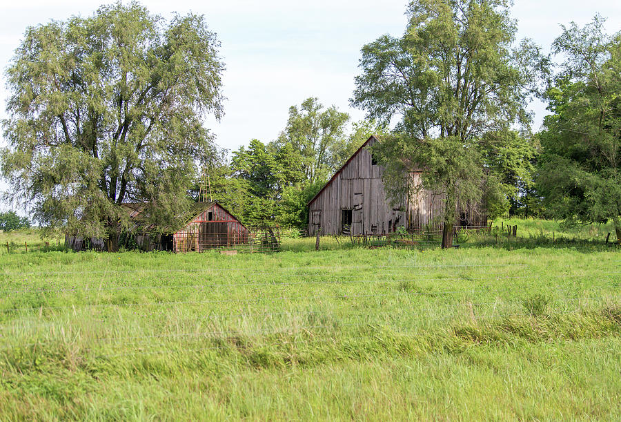 Kansas Barns Photograph By Lisa Moore Fine Art America