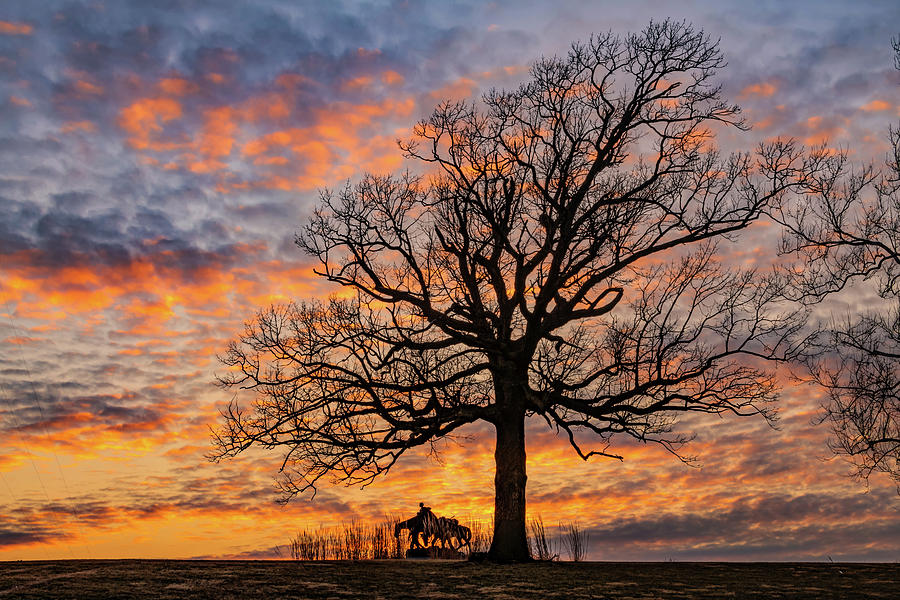 Kansas City Photograph - Kansas City Memorial to Pioneer Mothers and Barren Tree Sunset by Gregory Ballos