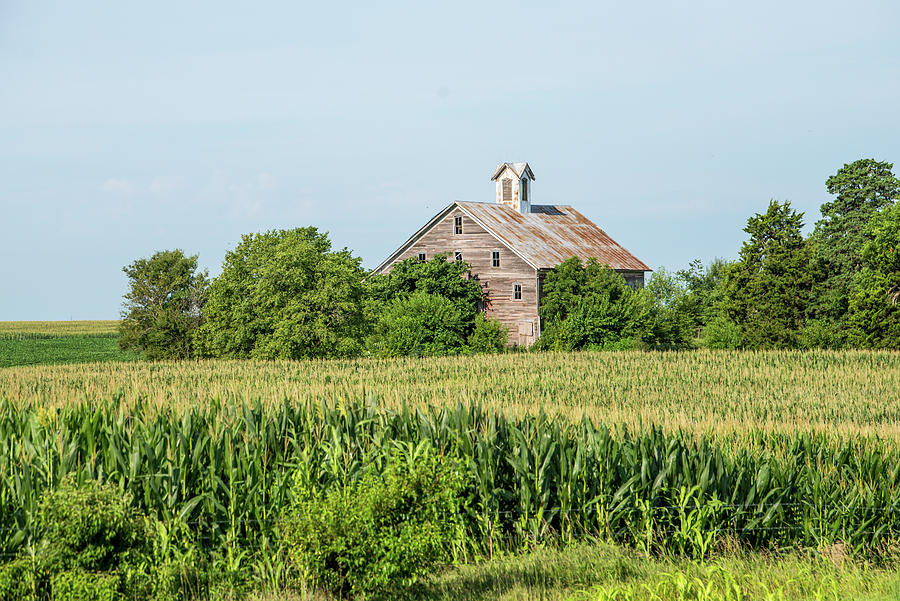 Kansas Cornfield Barn Photograph By Lisa Moore Fine Art America