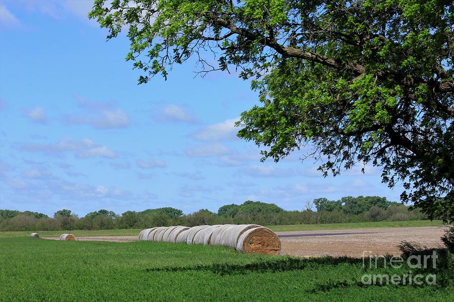 Kansas Country Hay Bales In A Field With Blue Sky And Trees Out In The Country. Digital Art