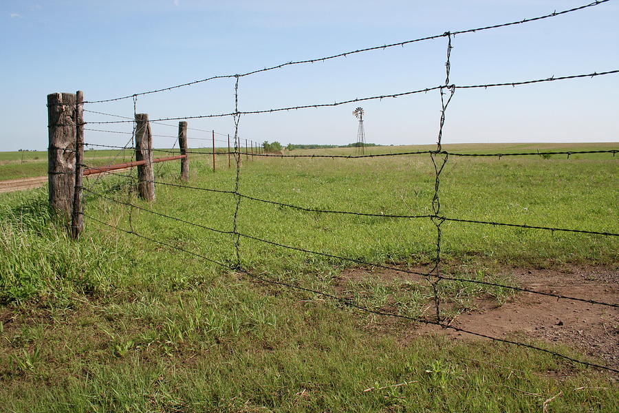 Kansas Fence Photograph by Dylan Punke