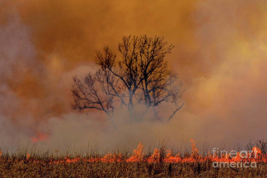 Kansas on Fire Photograph by Lynn Sprowl