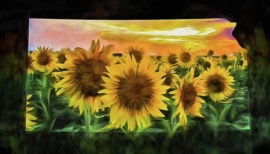 Kansas Outline Sunflowers Digital Art by Kyle Findley