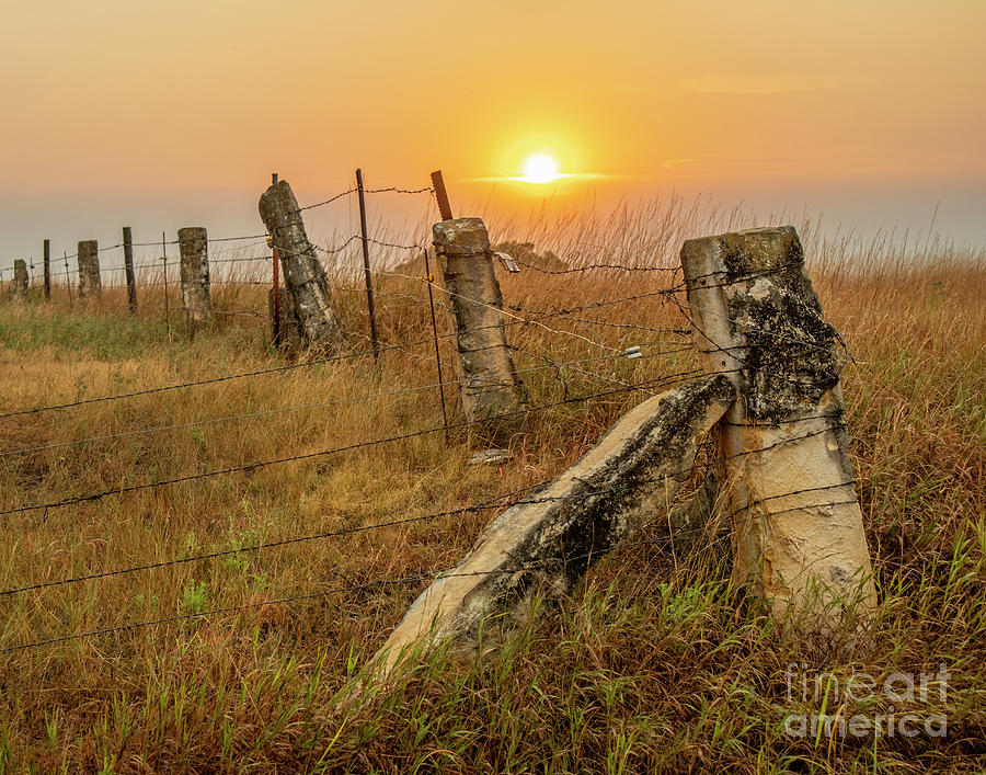 Kansas rock fence Posts Photograph by Garry McMichael