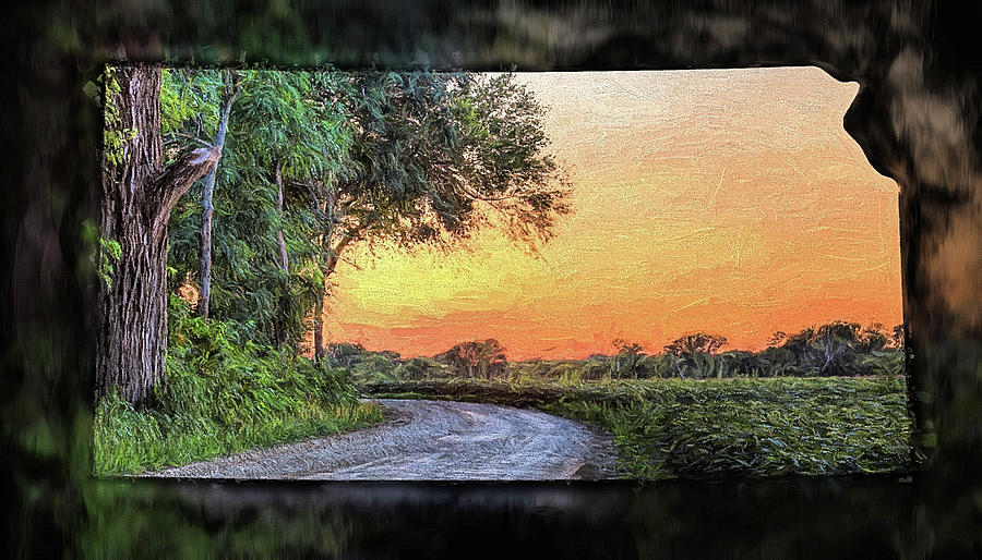Kansas Shaped Cottonwood Sunset Digital Art by JC Findley