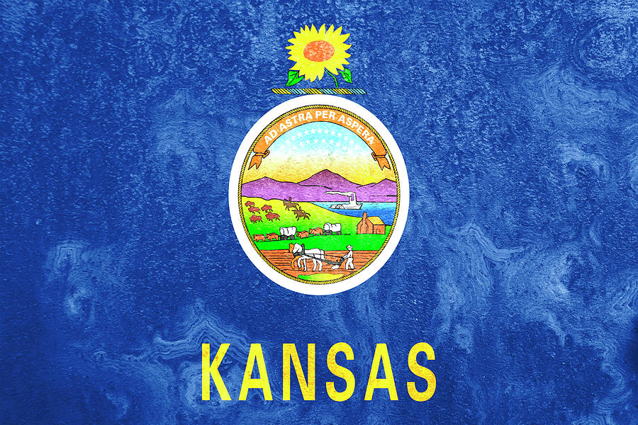 Kansas State Flag On Rust Photograph