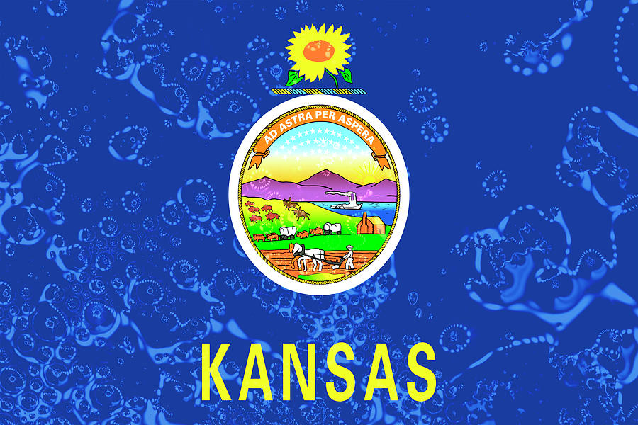 Kansas State Flag Pop Art Photograph