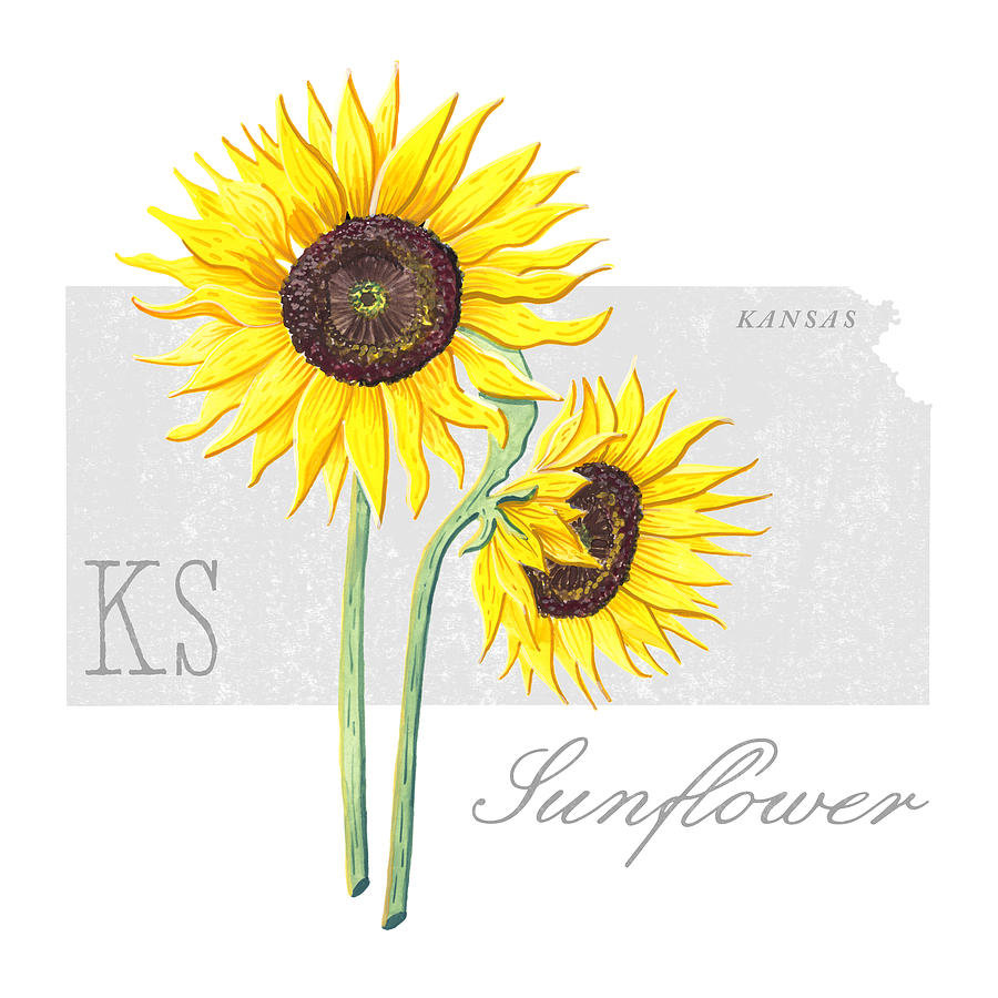 Kansas State Flower Sunflower Art by Jen Montgomery Painting by Jen Montgomery